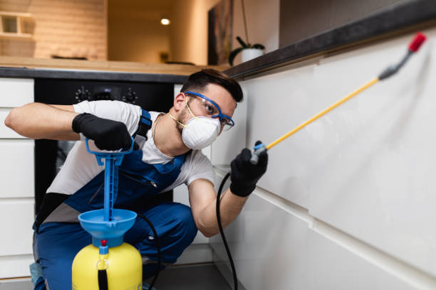 Best Exterminator Services  in Brainerd, MN