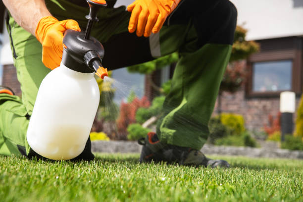 Best Residential Pest Control  in Brainerd, MN