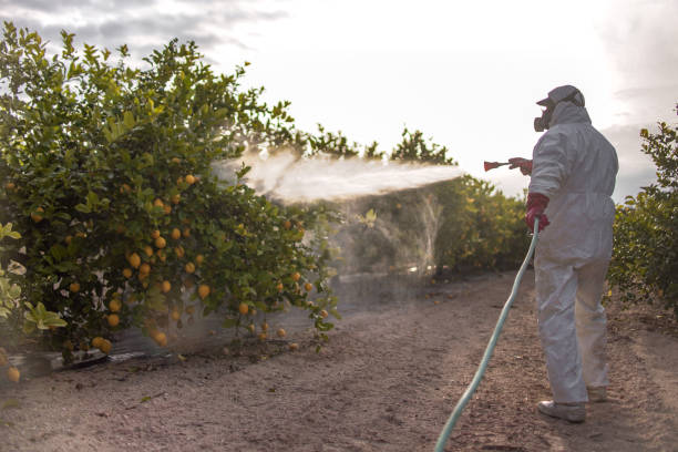 Best Commercial Pest Control Services  in Brainerd, MN