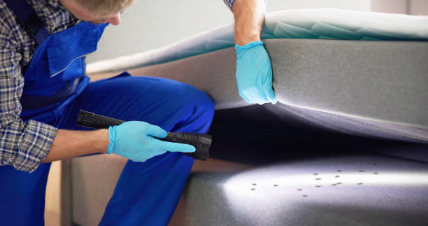 Best Bed Bug Extermination  in Brainerd, MN