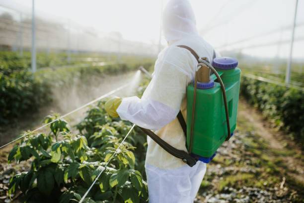 Reliable Brainerd, MN Pest Control Solutions